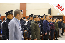 双柏债务清欠服务