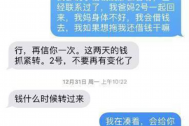 双柏债务清欠服务