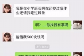 双柏融资清欠服务